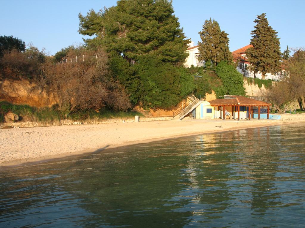 Apartments Villa Agatha Sveti Filip i Jakov Exterior photo